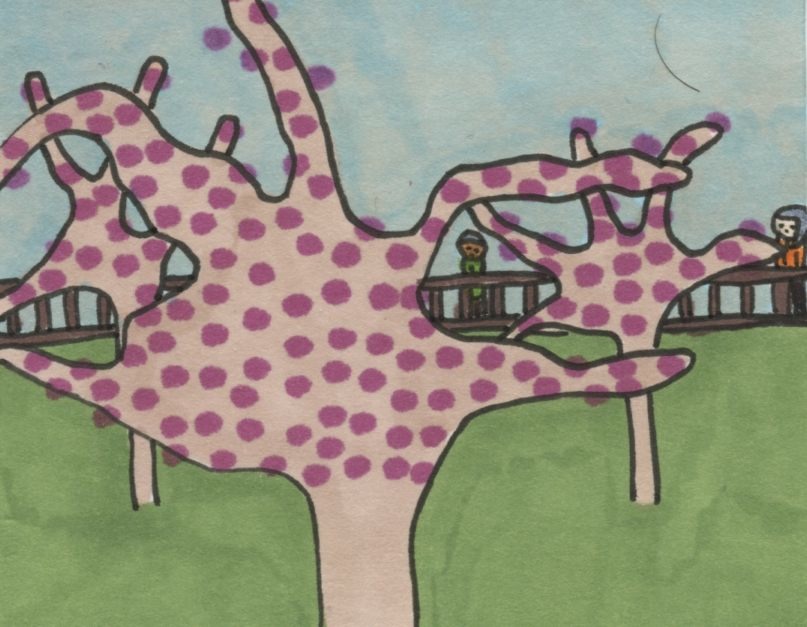 174 - Plum tree blossoms