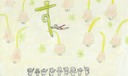 す
