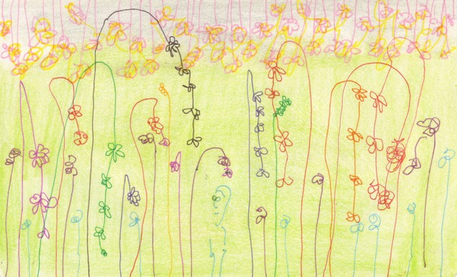Looking at Flowers