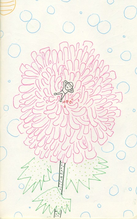 Sitting on a 菊