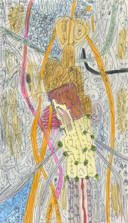 Human getting dismantled