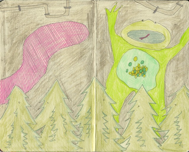 Frog VS Worm